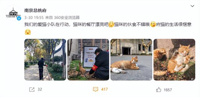 南京总统贵寓百只流浪猫将被活活饿死？后续来了
